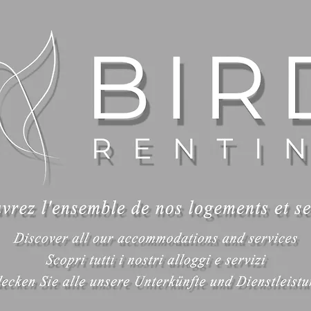 Spacious Apt Between Garibaldi And Riquier Appartement Nice